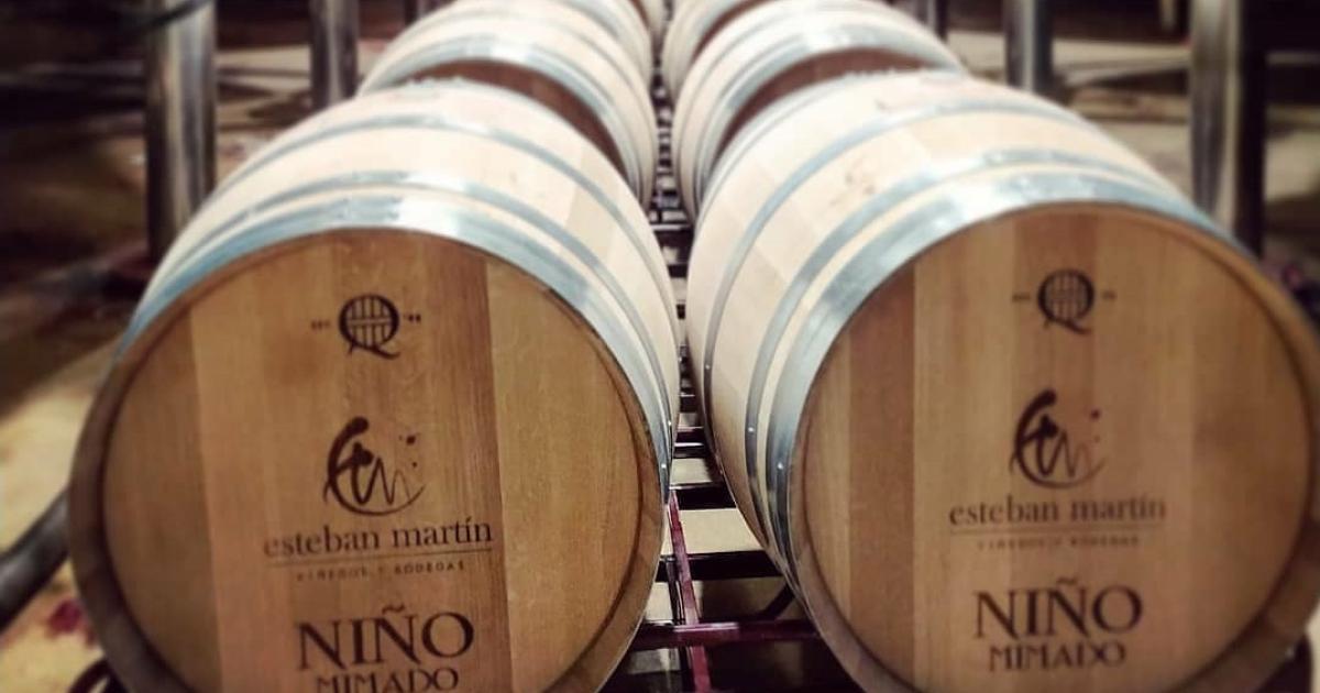 Charla y taller de cata de vino de la FEV