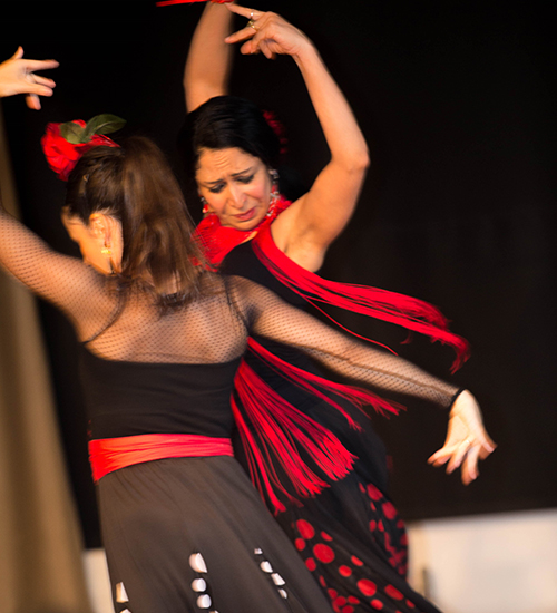 Flamenco, fino e ibéricos