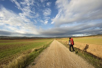 Camino de Santiago. Cultura si Patrimoniu.