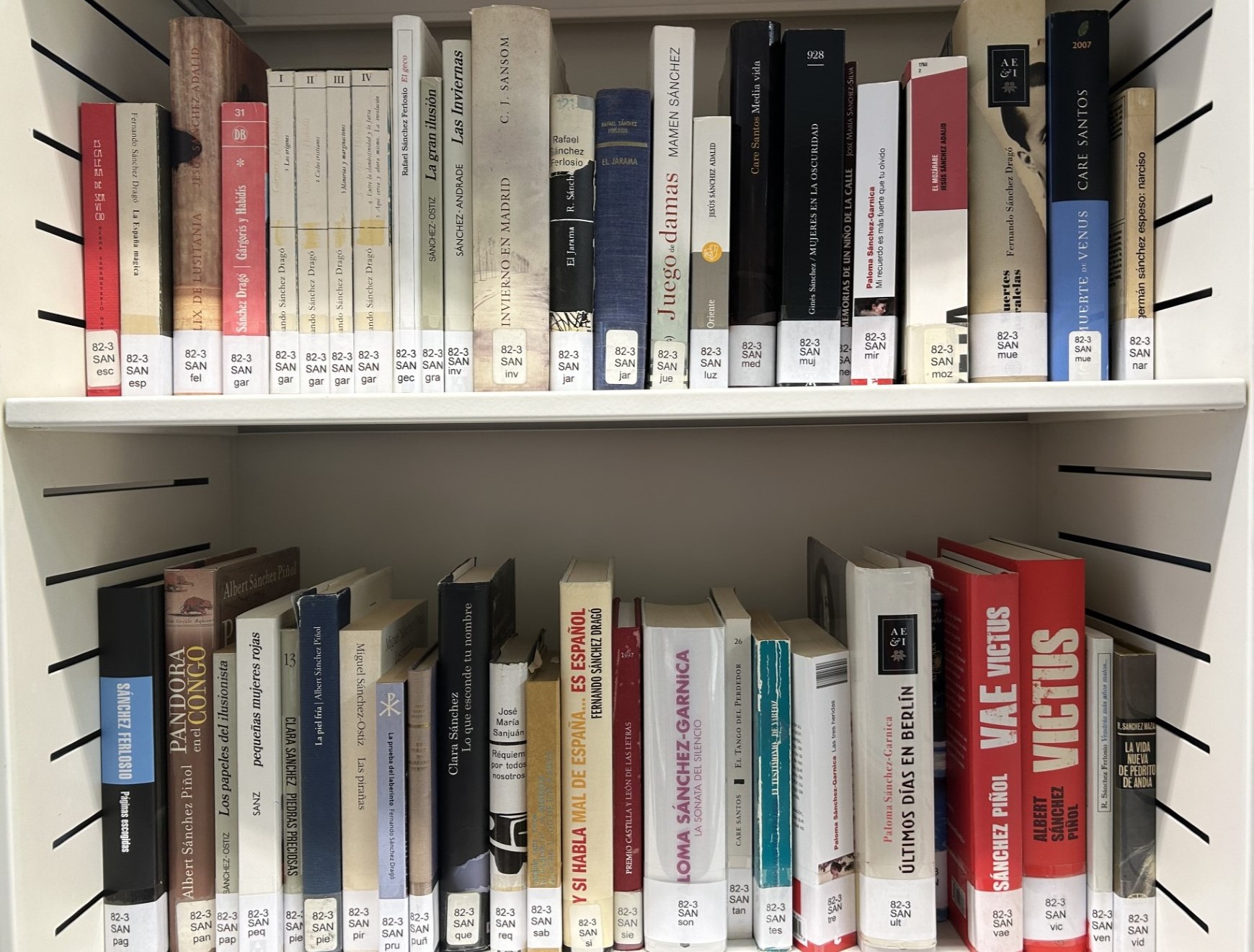Rincones bibliográficos 2025