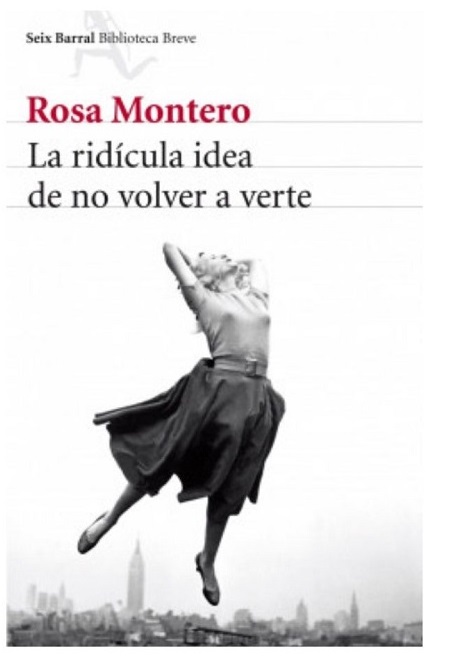 La ridícula idea de no volver  a verte