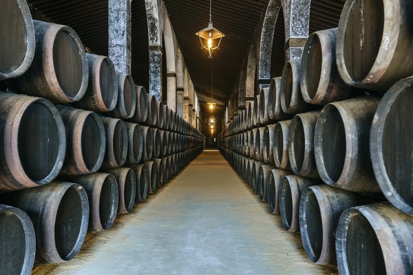 Den Jerez-Wein entdecken