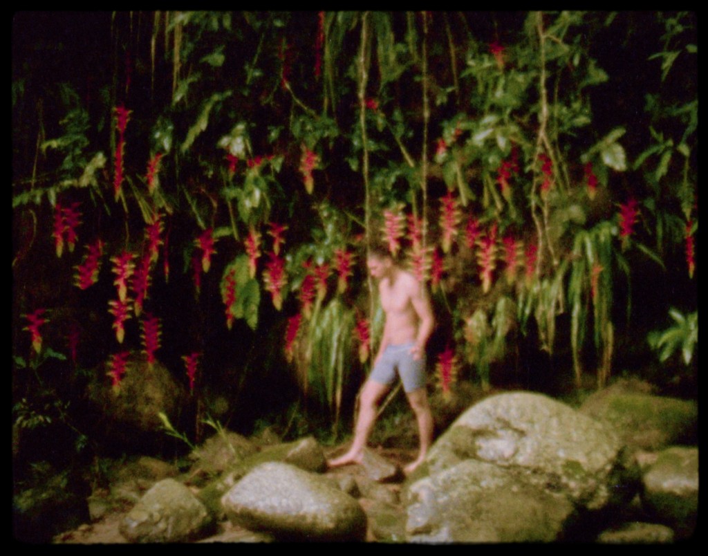 Heliconia