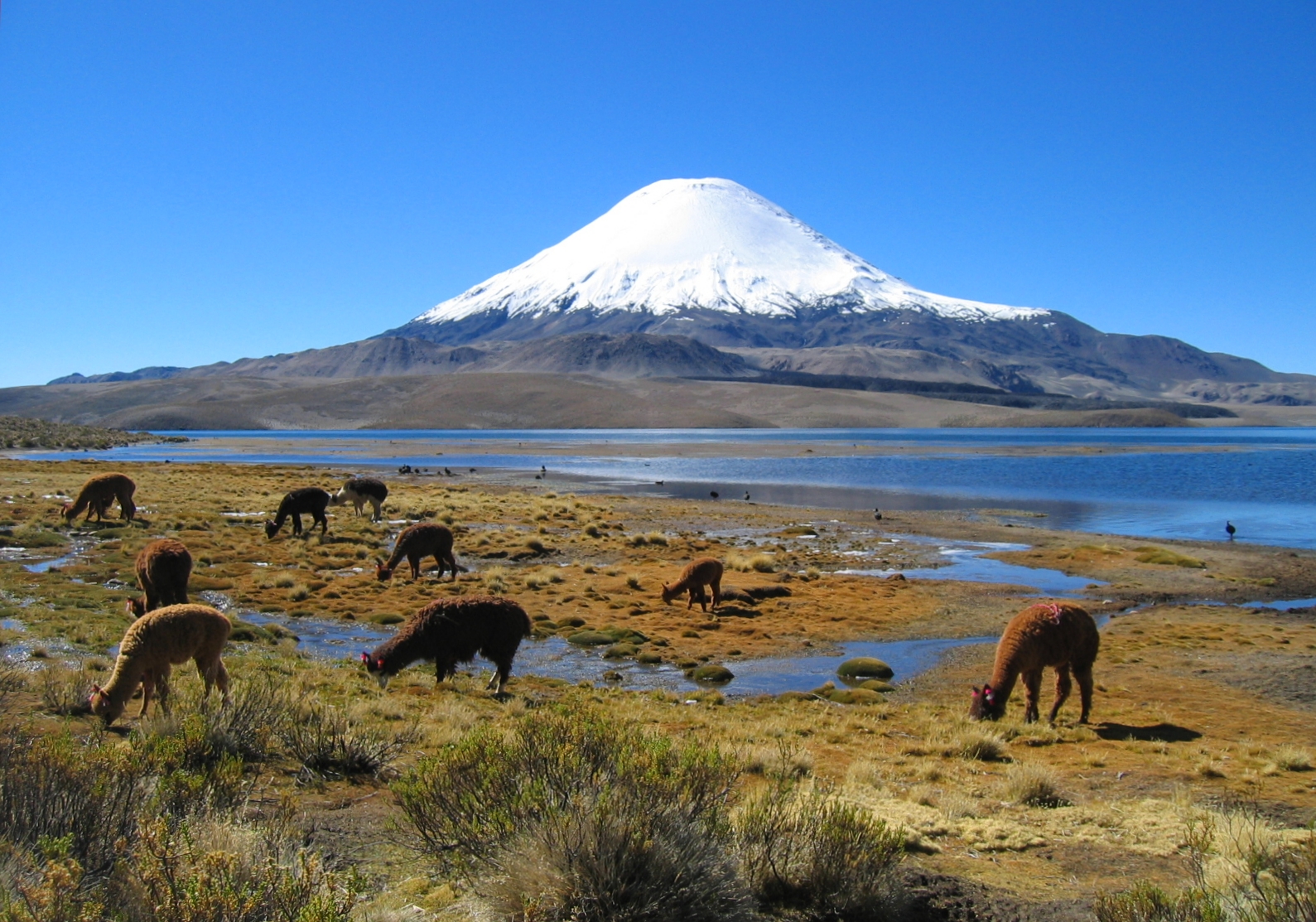 Conversando en Español: mi ruta andina, sugerencias para un viaje inolvidable
