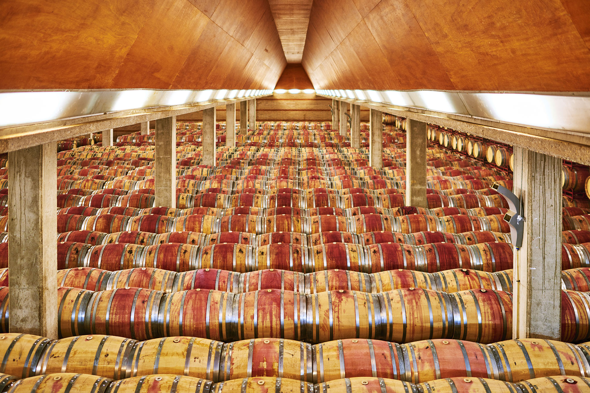 Cata de Vino Bodegas Enate 