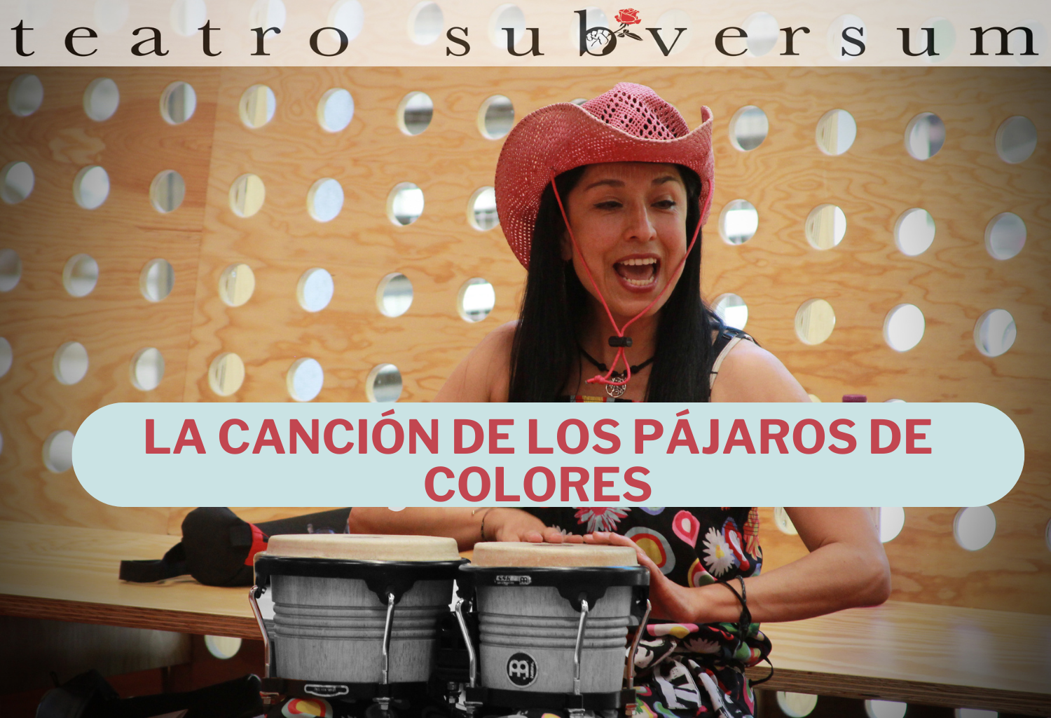 La canción de los pájaros de colores
