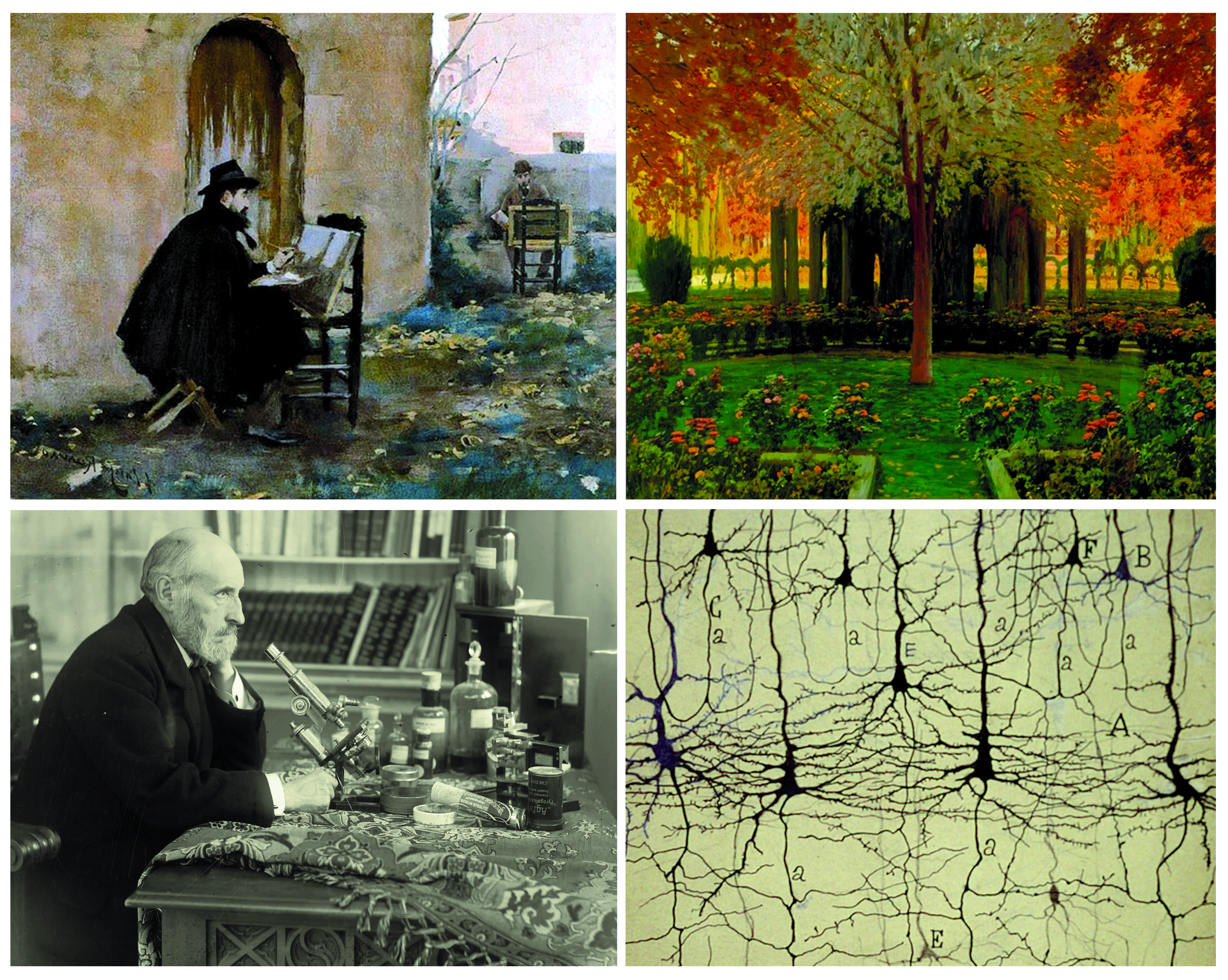 Los dibujos de Cajal y el descubrimiento del bosque neuronal del cerebro