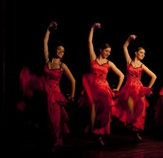 Talleres de Flamenco