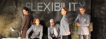 Flexibility