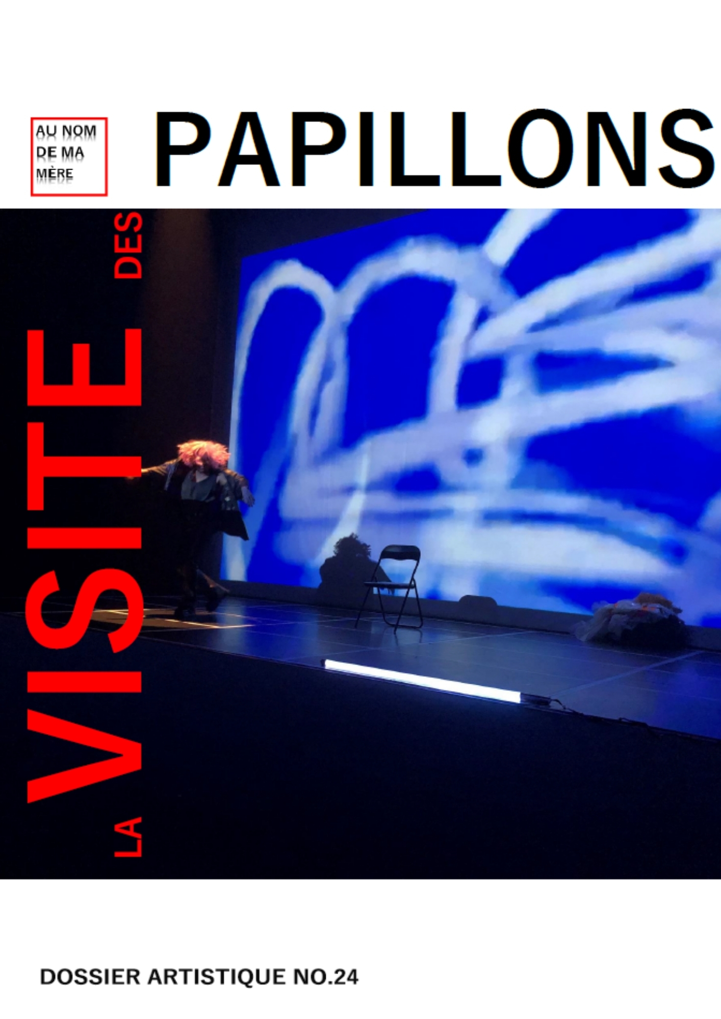 La visite des papillons