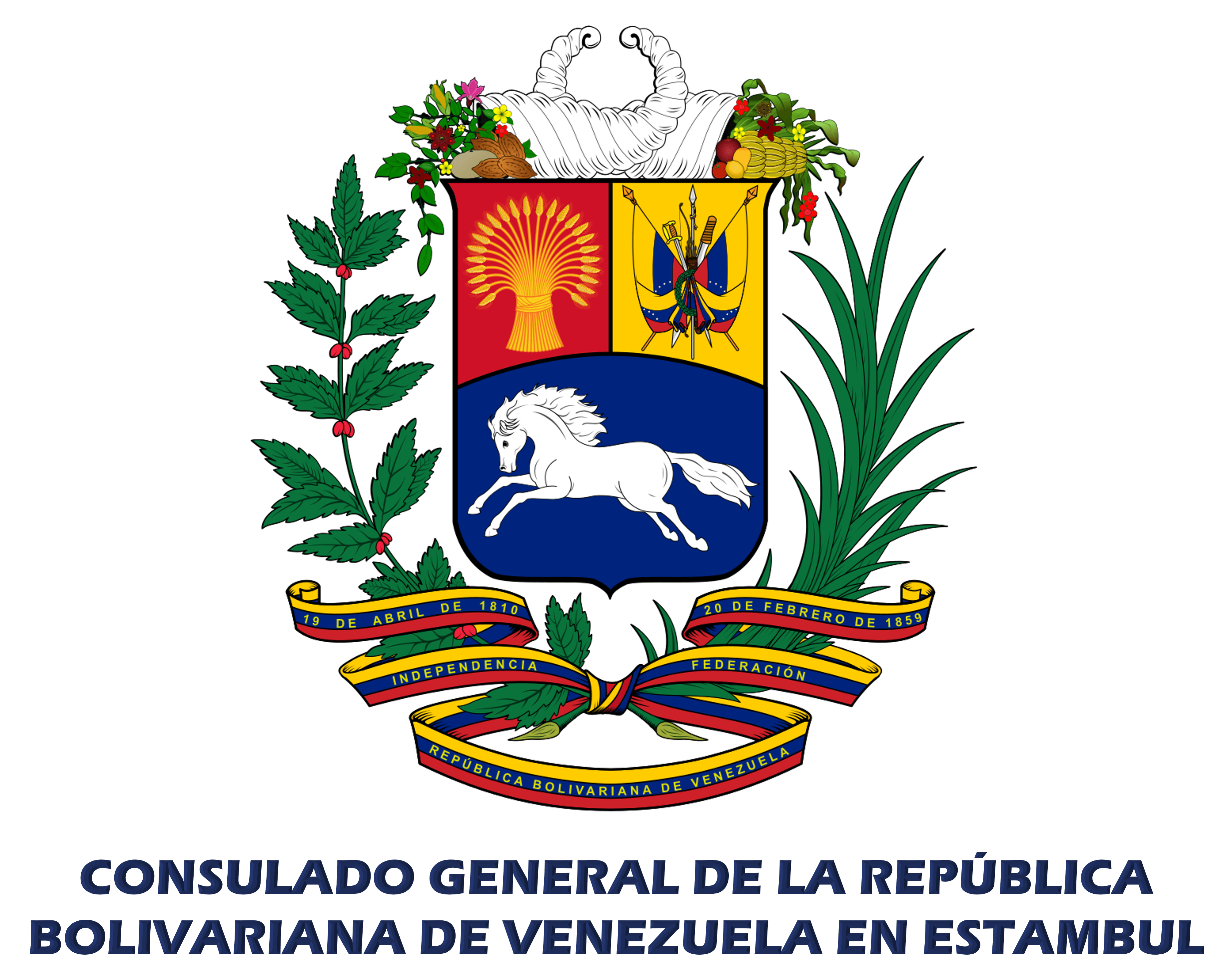 Consulado General de Venezuela (Estambul)