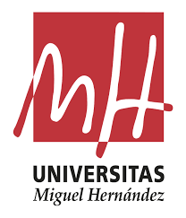 Universitat Miguel Hernández (Elche)