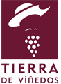 Fundación Castilla La Mancha Tierra de viñedos