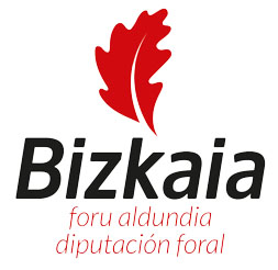 Diputación Foral (Bizkaia)