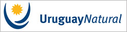 Embajada de Uruguay (India)