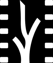 Havana Film Festival