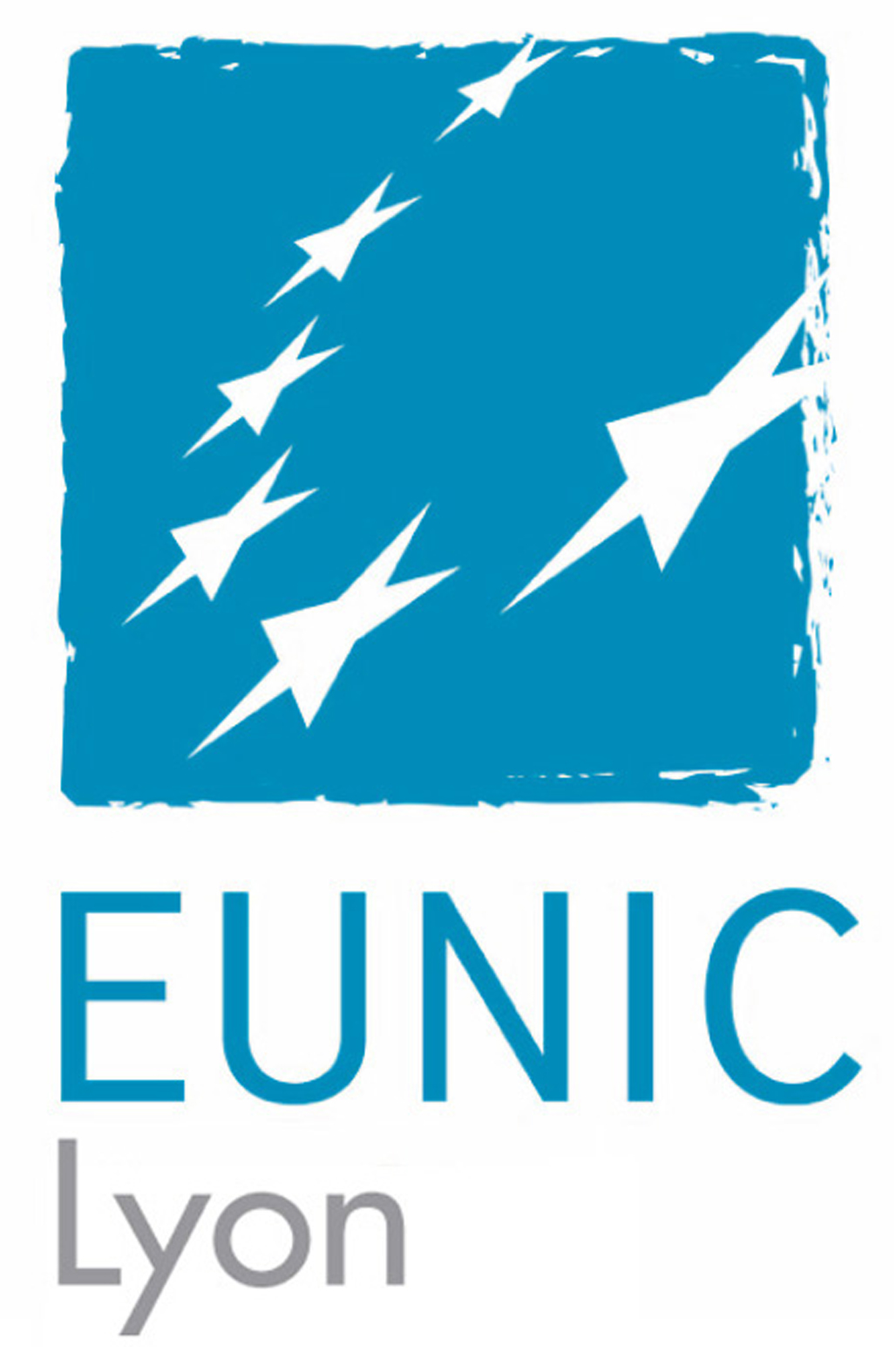 EUNIC - European National Institutes for Culture (Lyon)