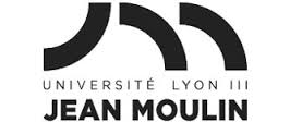 Université Jean Moulin Lyon 3  (Faculté des Langues)