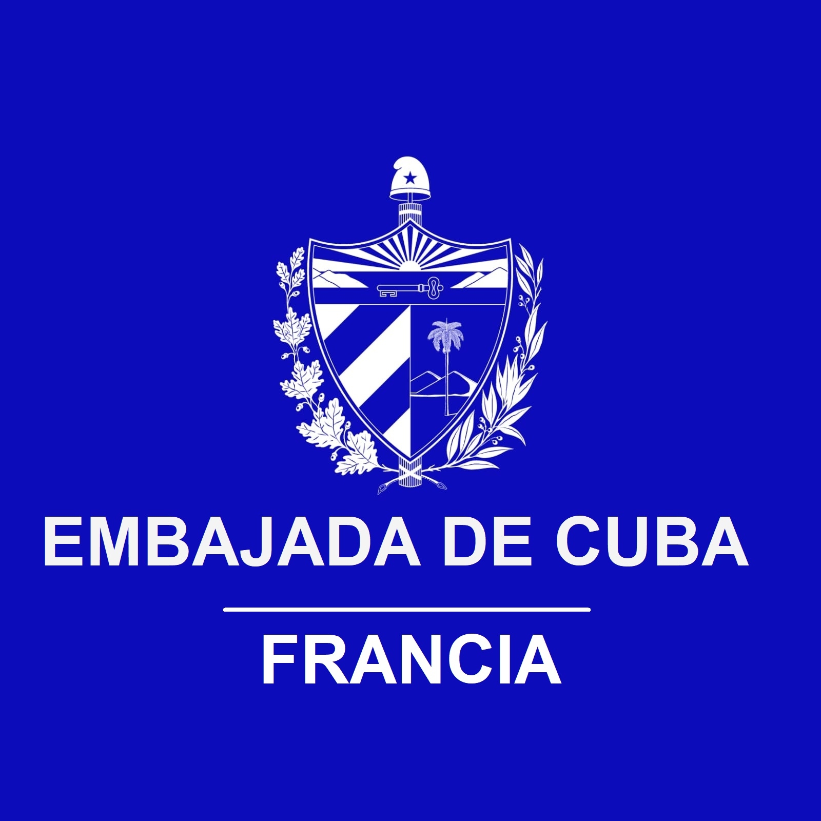 Embajada de Cuba (Francia)