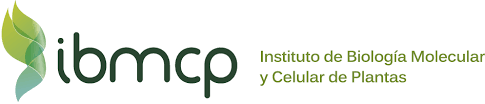 Instituto de Biología Molecular y Celular de Plantas (IBMCP) (Valencia)