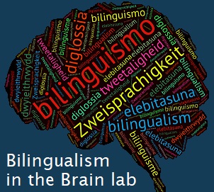 Bilingualism in the brain