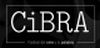 Festival del Cine y la Palabra (CiBRA)