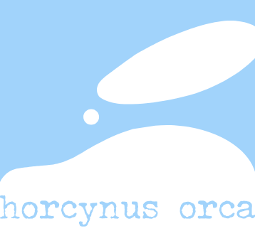 Fondazione Horcynus Orca