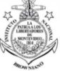 Instituto Nacional Browniano