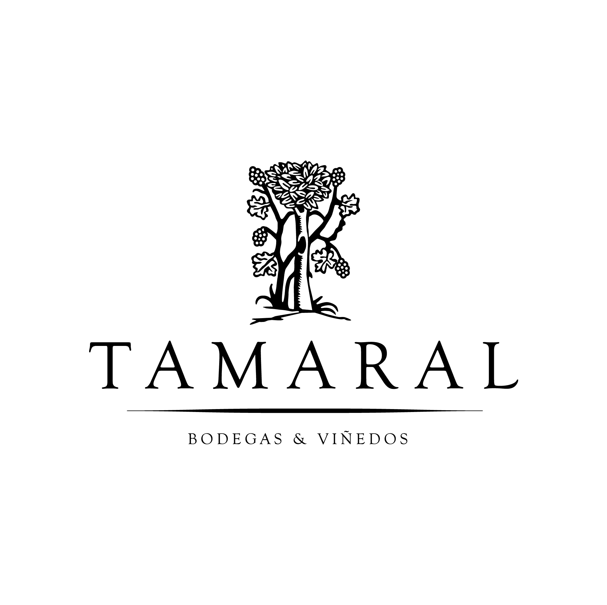 Bodegas y viñedos Tamaral