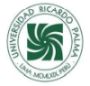 Universidad Ricardo Palma