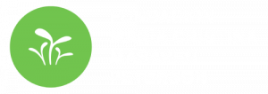 Fundación María Cristina Masaveu Peterson