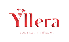 Grupo Yllera