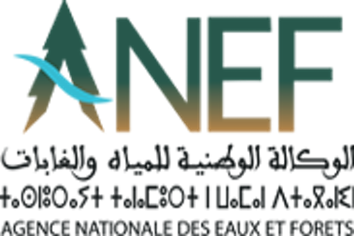 Direction Régional des Eaux et Forêts du Rif (Tetuán)